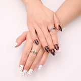 Polka Classic