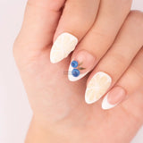 Blueberry Lemon Cheesecake