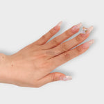 Enchanting Butterfly